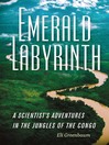 Cover image for Emerald Labyrinth